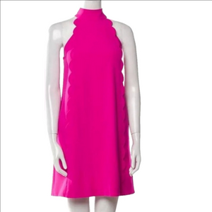 Ted Baker Dress Ted Baker Torrii Tunic Shift Dress